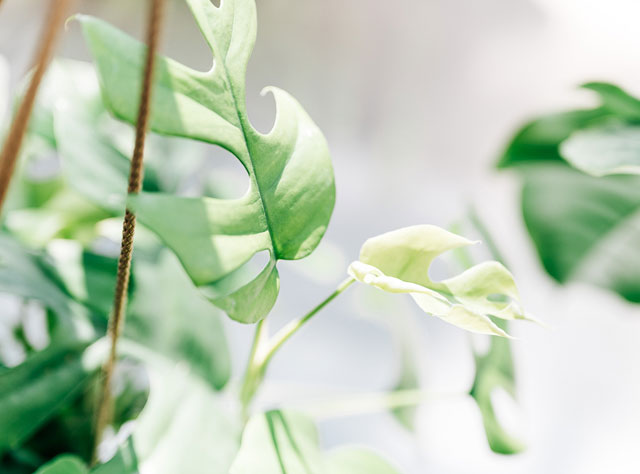 Engemann Friseur Impressionen